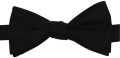 Muszka męska czarna